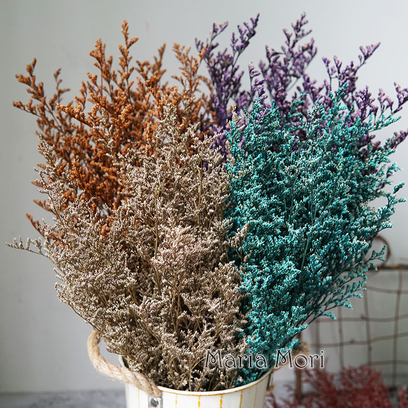 70g/geconserveerd Valentijnsgr - Eucalyptus Preserved recensie en prijs