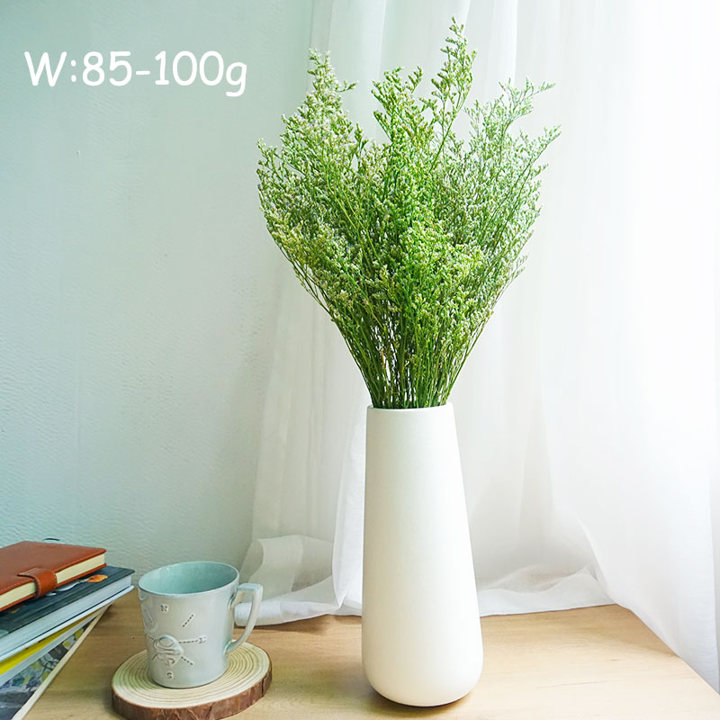 70g/geconserveerd Valentijnsgr - Eucalyptus Preserved recensie en prijs