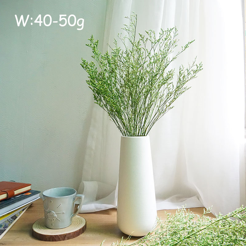 70g/geconserveerd Valentijnsgr - Eucalyptus Preserved recensie en prijs