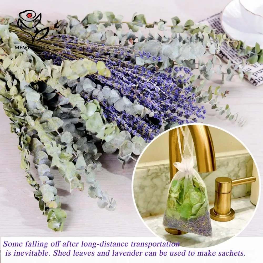 30 Stuks Gedroogde Bloemen Bew - Eucalyptus Preserved recensie en prijs