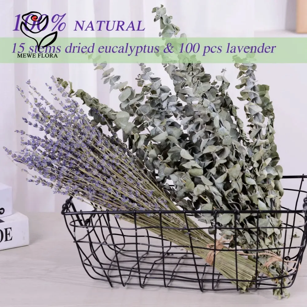 30 Stuks Gedroogde Bloemen Bew - Eucalyptus Preserved recensie en prijs