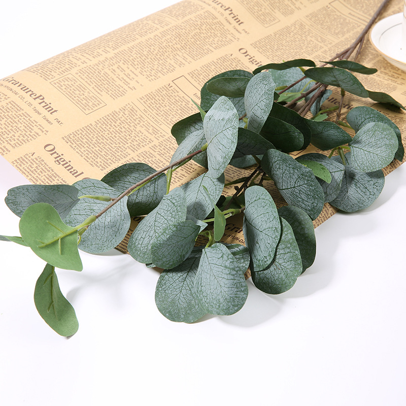 1 stks Kunstmatige Eucalyptus  - Eucalyptus Preserved recensie en prijs