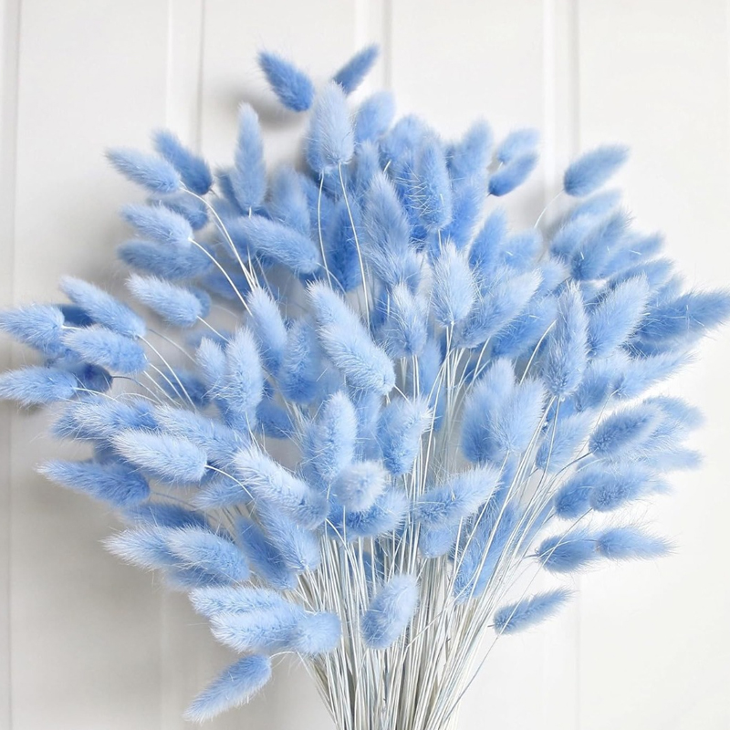 100 STKS Blauw Haas-staart Gra - Eucalyptus Preserved recensie en prijs