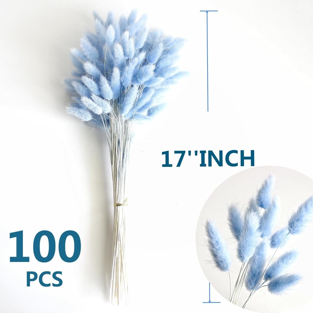 100 STKS Blauw Haas-staart Gra - Eucalyptus Preserved recensie en prijs