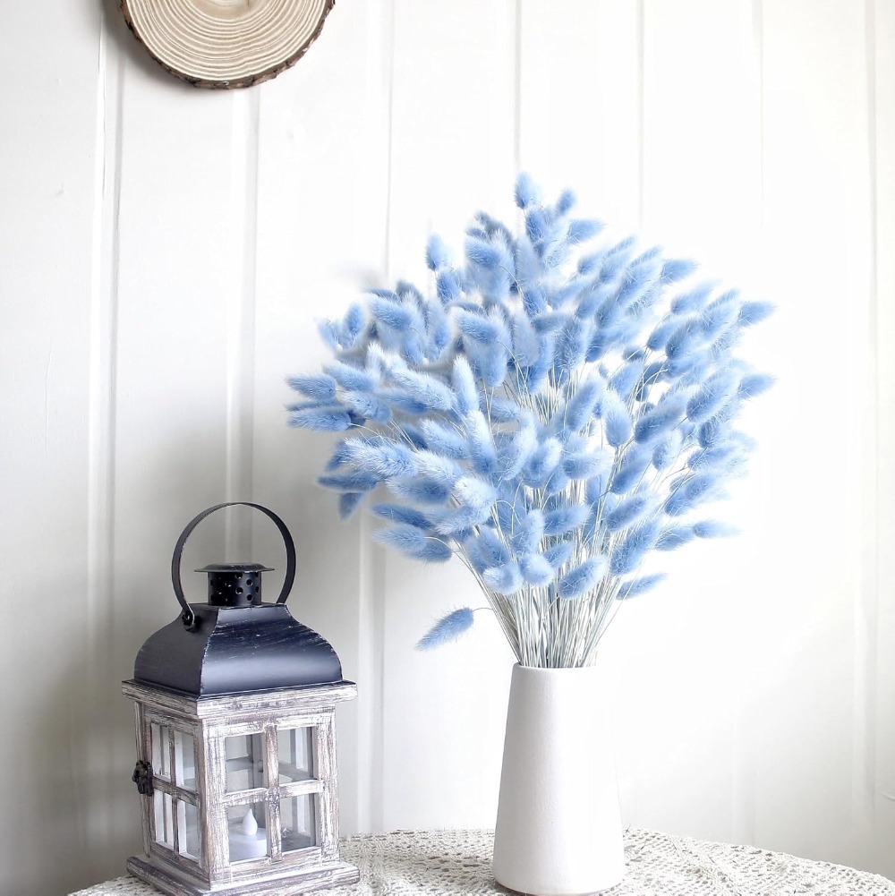 100 STKS Blauw Haas-staart Gra - Eucalyptus Preserved recensie en prijs
