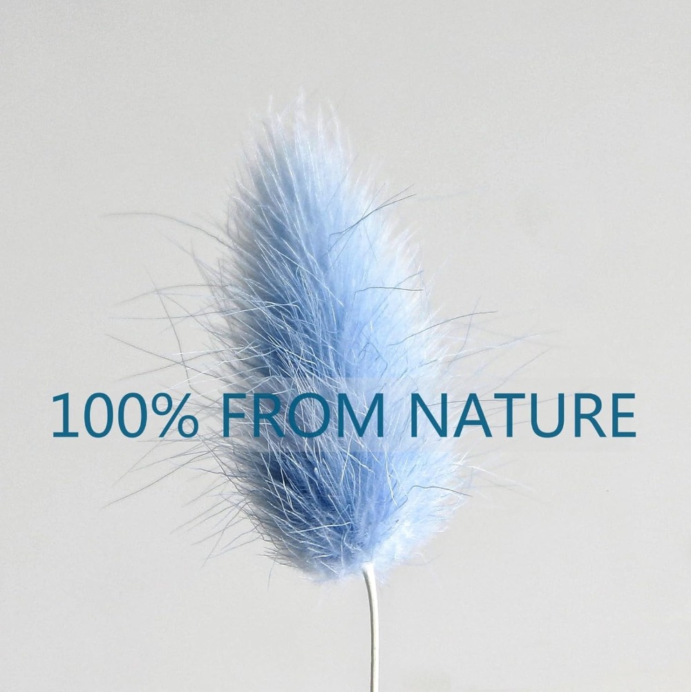 100 STKS Blauw Haas-staart Gra - Eucalyptus Preserved recensie en prijs